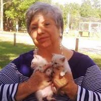 Barbara Cummings Photo 42