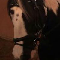 Annette Moritz Photo 7