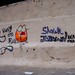 Shawn Graf Photo 20