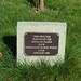 Henry Lane Photo 28