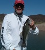 Don Mcdowell Photo 15