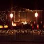Ruth Pruitt Photo 21