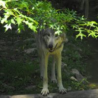 Timothy Arnold Photo 27