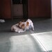 Susie Jackson Photo 19