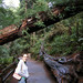 Jackie Muir Photo 8