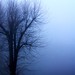 Laurence Whelan Photo 6