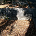 Richard Negus Photo 8