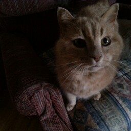 Theresa Toombs Photo 2