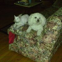Jane Hardin Photo 25