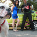 Frank Parris Photo 14