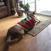 Janie Suits Photo 10