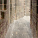Blanche Stone Photo 6