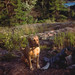 Nicholas Cook Photo 15