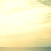 Leeann Cross Photo 6