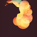 James Hensen Photo 10