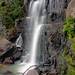 Linda Fall Photo 9