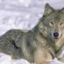 Vickie Stanley Photo 27