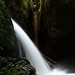Michael Atkins Photo 22