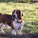 Sharon Meyer Photo 16