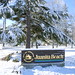 Juanita Franks Photo 15