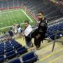 Steven Duarte Photo 32