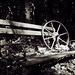 John Fowle Photo 27
