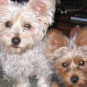 Beverly Lutz Photo 22