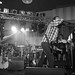 Mark Hutchinson Photo 28