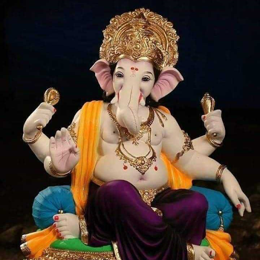 Seema Desai Photo 16