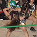 Mauricio Aguilar Photo 8