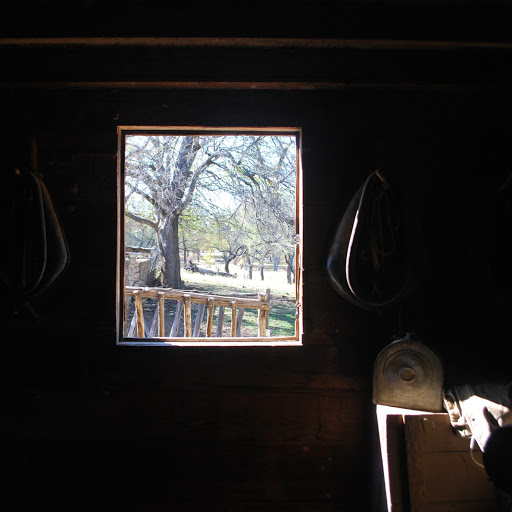 Robert Burrows Photo 9