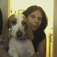 Stephen Raines Photo 25