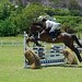 Ellen Gill Photo 27