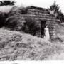 Catherine Reynolds Photo 44