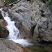 Glen Conway Photo 15