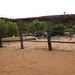 Kathleen Yard Photo 7