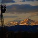 Dawn Meeks Photo 10