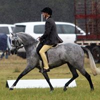 Dianne Proctor Photo 29