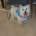 Colleen Bentley Photo 22