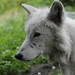 Matthew Searle Photo 15