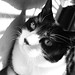 Tabitha Stokes Photo 16