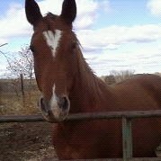 Susan Hensley Photo 14