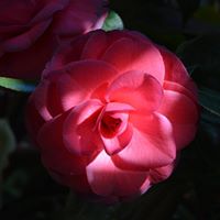 Marianne Bryan Photo 4