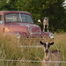 Paul Hamby Photo 36