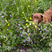Beatrice Peterson Photo 9