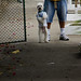 Grace Moya Photo 10