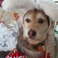 Connie Dalton Photo 15