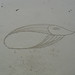 Dale Sands Photo 17