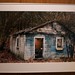 Amanda Morrow Photo 14