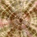 Cynthia Murdock Photo 22